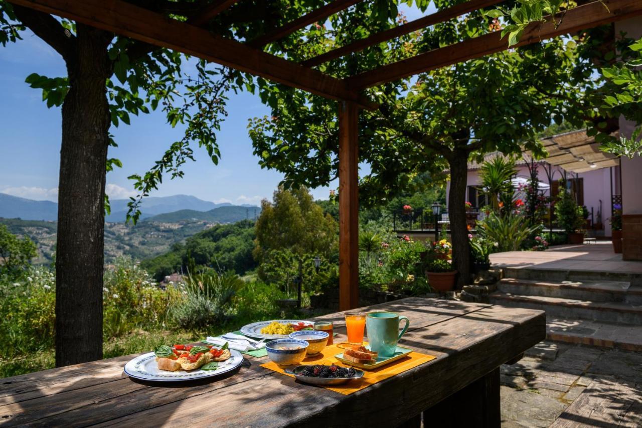 B&B Albachiara Casa Di Campagna Ogliastro Cilento Exteriér fotografie