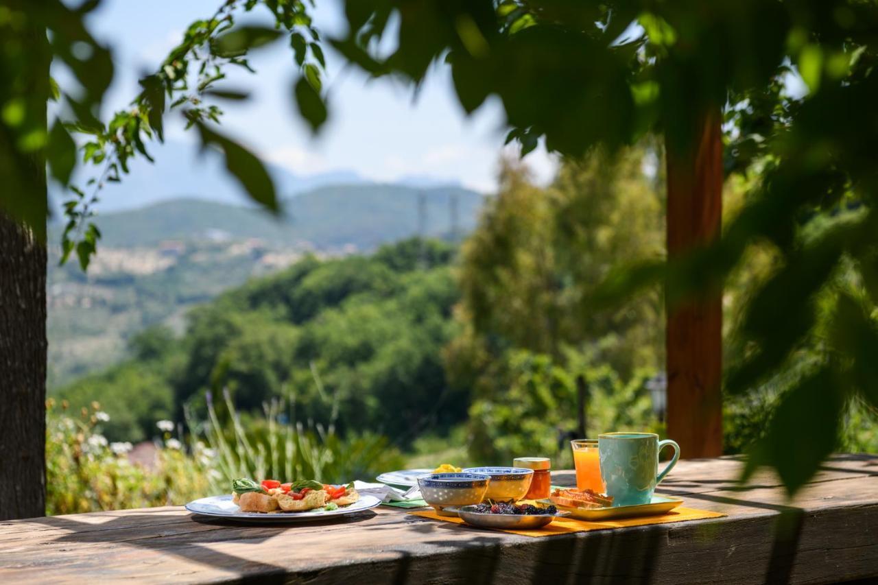 B&B Albachiara Casa Di Campagna Ogliastro Cilento Exteriér fotografie
