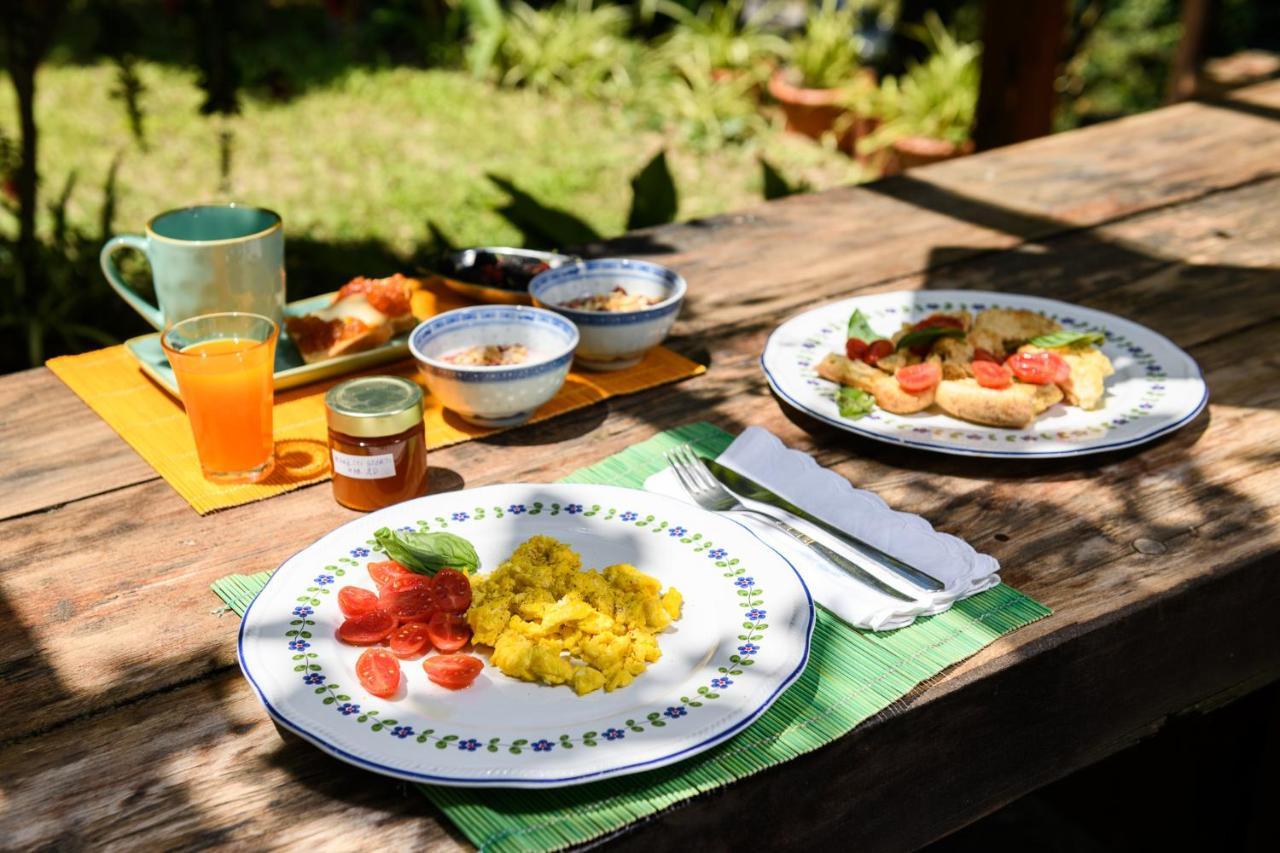 B&B Albachiara Casa Di Campagna Ogliastro Cilento Exteriér fotografie