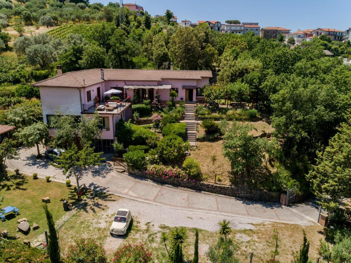 B&B Albachiara Casa Di Campagna Ogliastro Cilento Exteriér fotografie