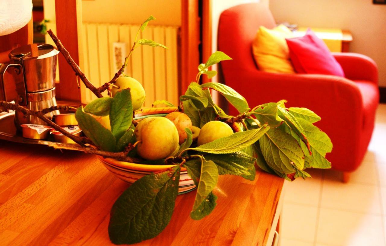 B&B Albachiara Casa Di Campagna Ogliastro Cilento Exteriér fotografie