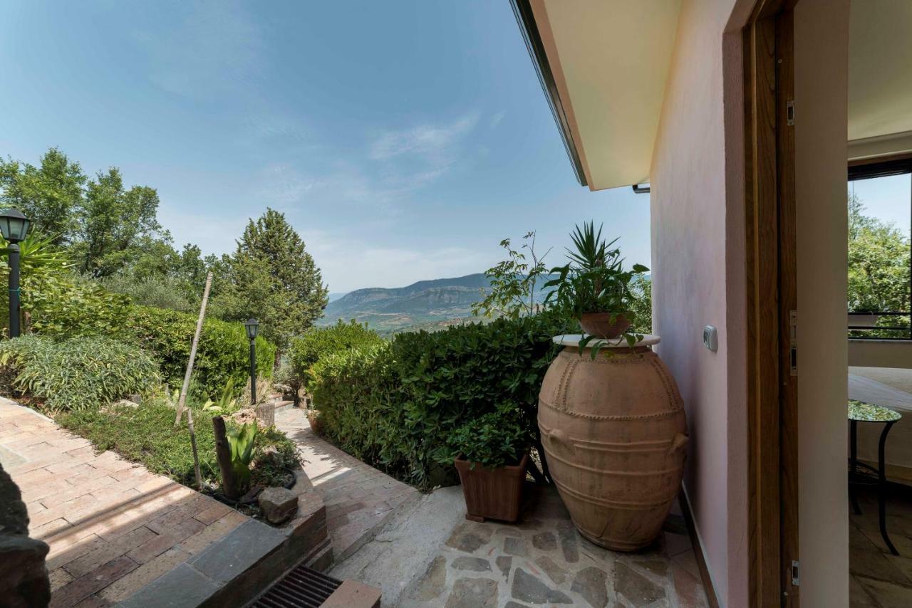 B&B Albachiara Casa Di Campagna Ogliastro Cilento Exteriér fotografie